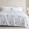 image:imageNautica  Soft Twin Size Blanket for Bed amp Couch Cozy BeddingLobster Watercolor Stripes Blue