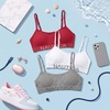 image:imageNautica Girls Training Bra  3 Pack6 Pack Seamless Padded Bralette Underwear for Girls with Removable Pads Sizes SXLHeather GreyWhiteCayenne Rose3pk