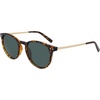 image:imageNautica N900sp Round SunglassesDark Tortoise