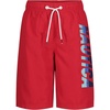 Vert Logo Carmine