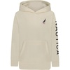 Usa Flag Turtle Dove