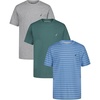 Della Robbia Stripe/Sagebrush/Grey