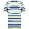 Clear Skies Bright Stripe