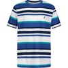Preppy Stripe Delft
