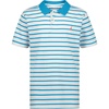 Coast Stripe Hawiian Ocean