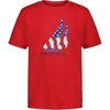 J-class Flag High Risk Red